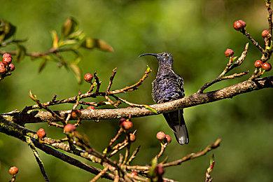 分析称《夺宝奇兵：古老之圈》将于今年11月发售